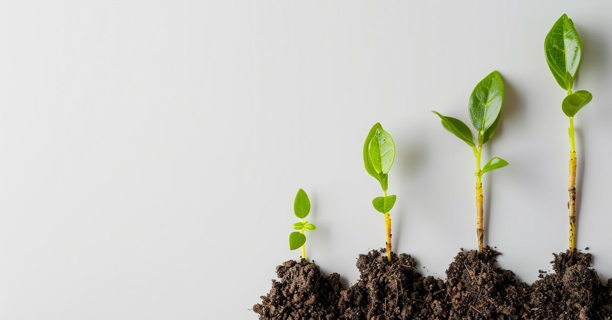 What I've Learned About Running My Own Business